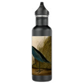 Blue Crane Heron Audubon Painting Waterfles (Rechts)