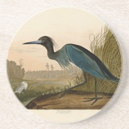 Blue Crane Heron Audubon Painting Zandsteen Onderzetter (Voorkant)