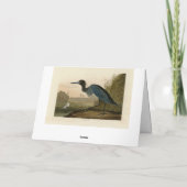 Blue Crane, Heron, van Audubon's Birds of America Kaart (Achterkant)