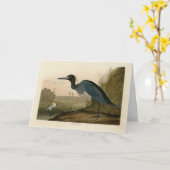 Blue Crane, Heron, van Audubon's Birds of America Kaart (Gele Bloem)
