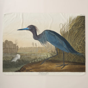 Blue Crane of Heron, 1836, De vogels van Amerika Sherpa Deken