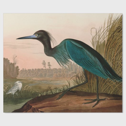 Blue Crane of Heron Birds of America Audubon Print Cadeaupapier (Vlak)