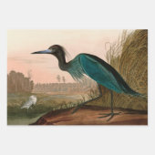 Blue Crane of Heron Birds of America Audubon Print Inpakpapier Vel (Voorkant 2)