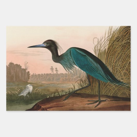Blue Crane of Heron Birds of America Audubon Print Inpakpapier Vel (Voorkant)
