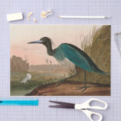 Blue Crane of Heron Birds of America Audubon Print Tissuepapier (Craft)