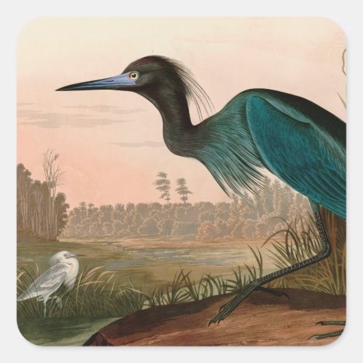 Blue Crane of Heron Birds of America Audubon Print Vierkante Sticker (Voorkant)