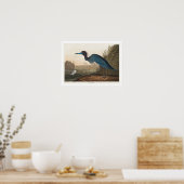 Blue Crane of Heron door Poster van Audubon (Keuken)