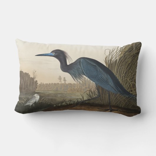Blue Crane of Heron uit Amerikaanse vogels Kussen (Achterkant)