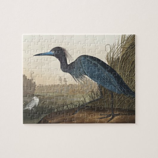 Blue Crane of Heron uit Amerikaanse vogels Legpuzzel (Horizontaal)
