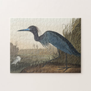 Blue Crane of Heron uit Amerikaanse vogels Legpuzzel