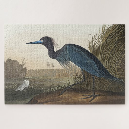 Blue Crane of Heron uit Amerikaanse vogels Legpuzzel (Horizontaal)