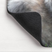 Blue Cream - Tortie Kat Muismat (Hoek)