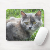 Blue Cream - Tortie Kat Muismat (Met muis)
