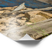 Blue Crescent Moon Outhouse - Privy Foto Afdruk (Hoek)