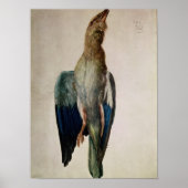 Blue Crow, 1512 Poster (Voorkant)