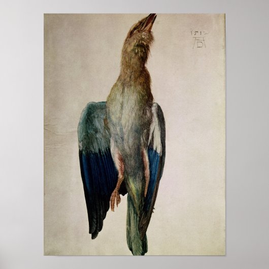 Blue Crow, 1512 Poster (Voorkant)