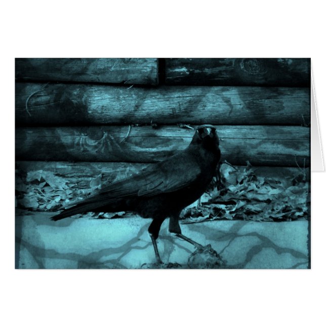 Blue Crow Shadows (Voorkant Horizontaal)