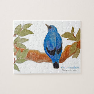 Blue Cuckooshrike op tak Waterverf Vogel Legpuzzel