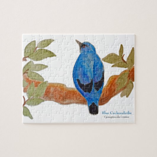 Blue Cuckooshrike op tak Waterverf Vogel Legpuzzel (Horizontaal)