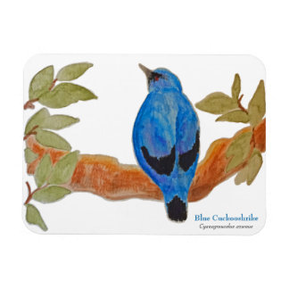 Blue Cuckooshrike op tak Waterverf Vogel Magneet