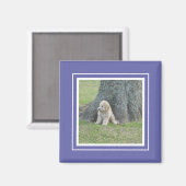 Blue Custom Cute Photo Template Stijlvol Magneet (Voorkant / Achterkant)