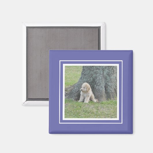 Blue Custom Cute Photo Template Stijlvol Magneet (Voorkant / Achterkant)