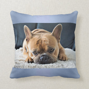 Blue Cute French Bulldog Cushion pillow Kussen