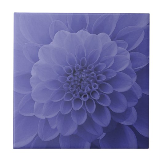 Blue Dahlia Tegeltje (Voorkant)