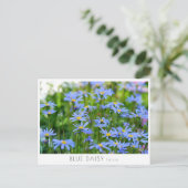 Blue Daisy Briefkaart (Staand voorkant)