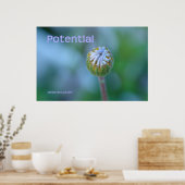 Blue Daisy Bud Photo Print/Poster - "Potentieel" Poster (Keuken)