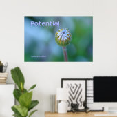 Blue Daisy Bud Photo Print/Poster - "Potentieel" Poster (Thuiskantoor)