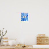 Blue Daisy Floral Poster (Keuken)