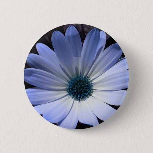 Blue Daisy Flower Button (Voorkant)