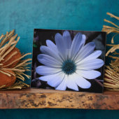 Blue Daisy Flower Plaque Fotoplaat (Zijkant)