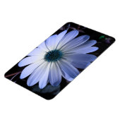 Blue Daisy Flower Premium Magnet Magneet (Linkerzijde)
