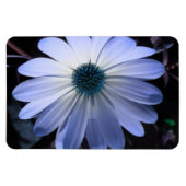 Blue Daisy Flower Premium Magnet Magneet (Horizontaal)