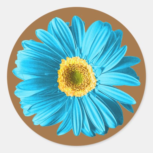 Blue Daisy Flower Ronde Sticker (Voorkant)
