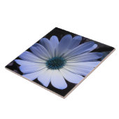 Blue Daisy Flower Tegel Tegeltje (Zijkant)