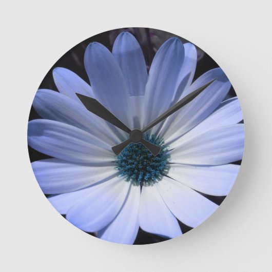 Blue Daisy Flower Wall-klok Ronde Klok (Voorkant)