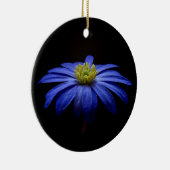 Blue Daisy Gerbera Flower op een zwarte achtergron Keramisch Ornament (Rechts)