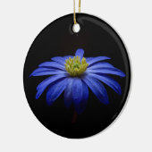 Blue Daisy Gerbera Flower op een zwarte achtergron Keramisch Ornament (Links)