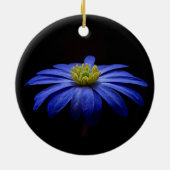 Blue Daisy Gerbera Flower op een zwarte achtergron Keramisch Ornament (Achterkant)