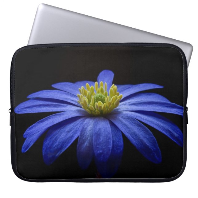 Blue Daisy Gerbera Flower op een zwarte achtergron Laptop Sleeve (Voorkant)