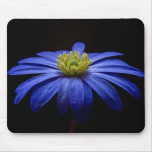 Blue Daisy Gerbera Flower op een zwarte achtergron Muismat