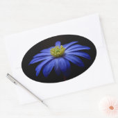 Blue Daisy Gerbera Flower op een zwarte achtergron Ovale Sticker (Envelop)