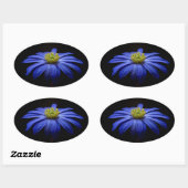 Blue Daisy Gerbera Flower op een zwarte achtergron Ovale Sticker (Vel)