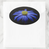 Blue Daisy Gerbera Flower op een zwarte achtergron Ovale Sticker (Tas)