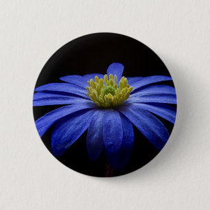 Blue Daisy Gerbera Flower op een zwarte achtergron Ronde Button 5,7 Cm