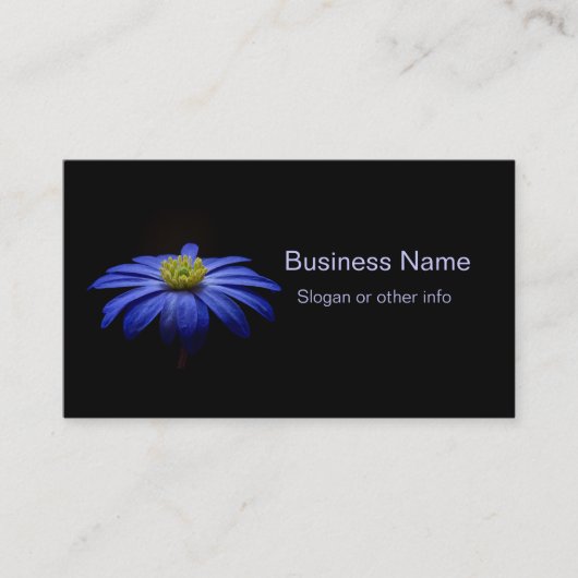 Blue Daisy Gerbera Flower op een zwarte achtergron Visitekaartje (Voorkant)
