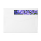 Blue Daisy-like Flowers Natuur Fotografie (Achterkant)